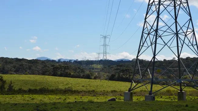 Foto de Curitiba.jpg